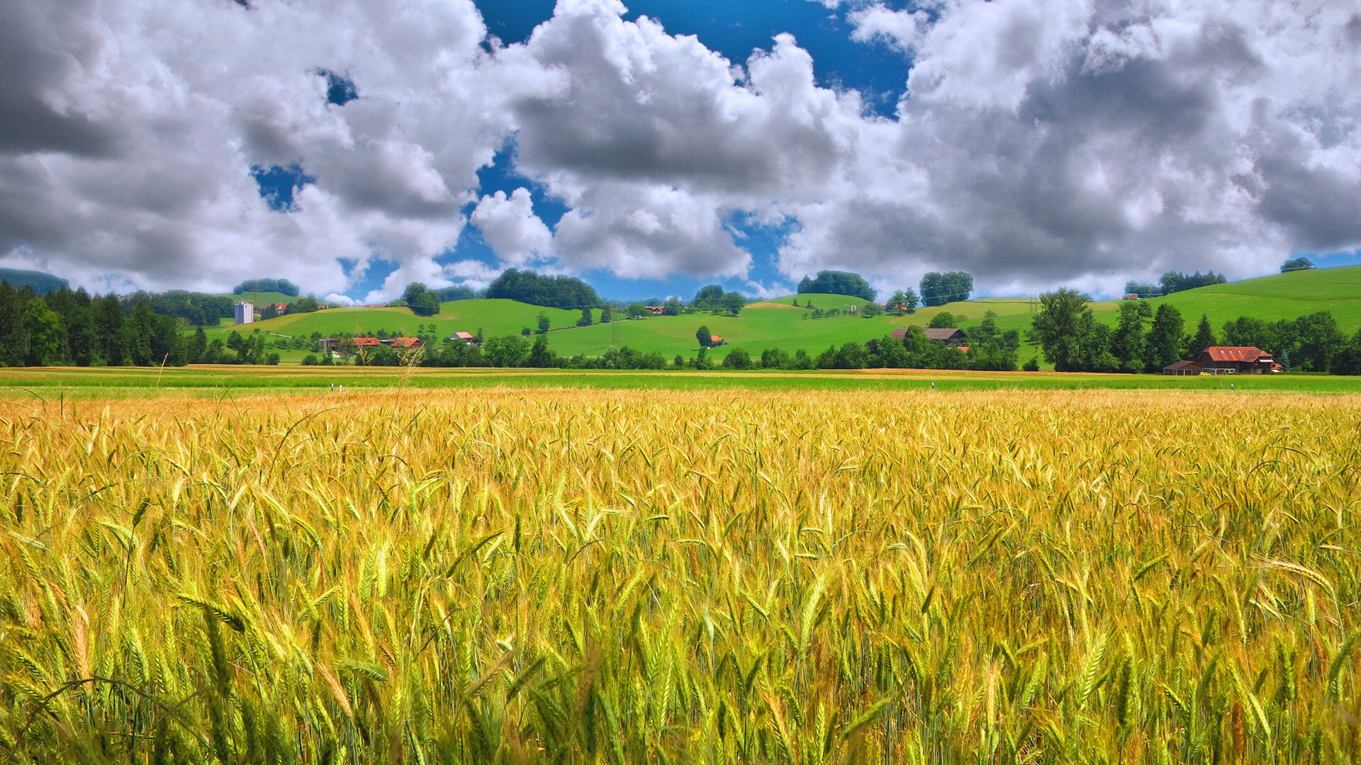 49e Journée d’information en économie agricole Agroscope