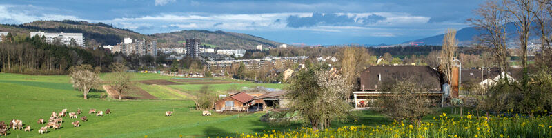 25. Arbeitswissenschaftliches Kolloquium