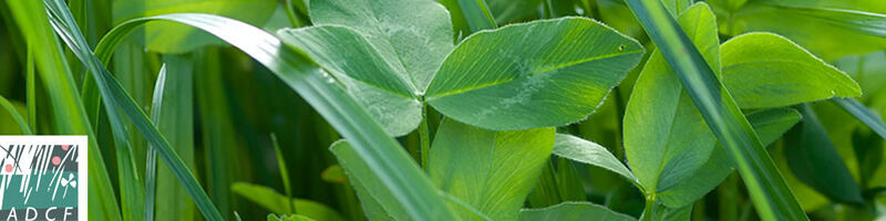 AGFF-Frühlingstagung 2026