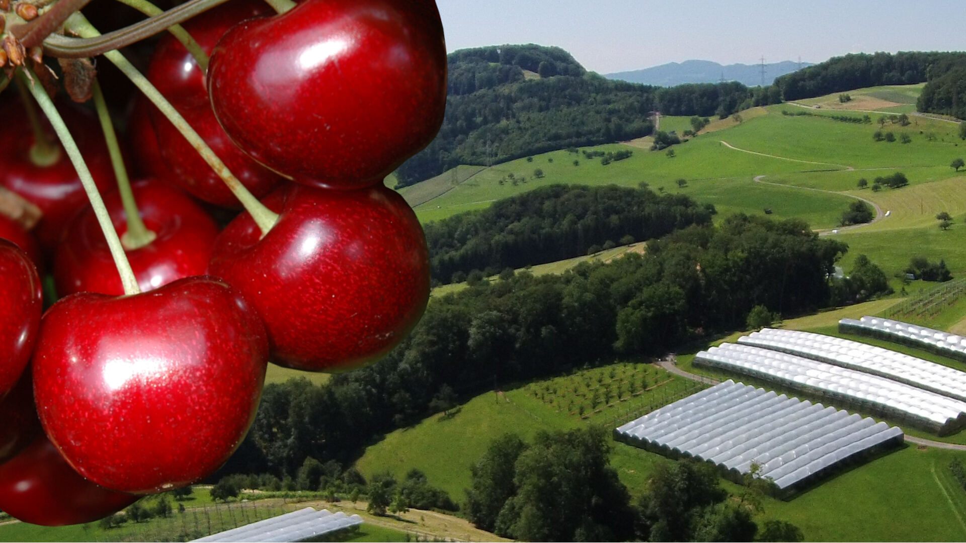 Breitenhof-Tagung Agroscope 2026